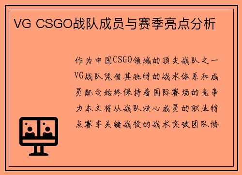 VG CSGO战队成员与赛季亮点分析