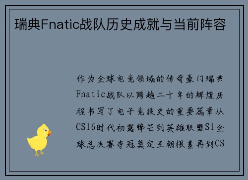 瑞典Fnatic战队历史成就与当前阵容